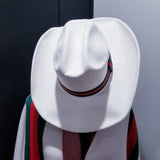 Stripe Cowboy Hat