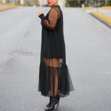 Helena Sheer Dress